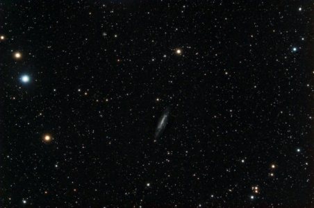 NGC4236 in Draco