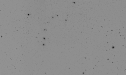 The Virgo/Coma cluster in negative B&W