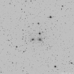 Coma cluster in negative B&W