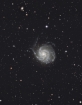 Definitive_M101_Forums