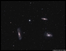 The Leo Trio