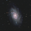 M33_Everything_Forums