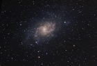 M33 Carole Pope