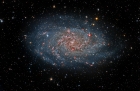 M33 Harry Page image of the week