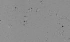 The Virgo/Coma cluster in negative B&W