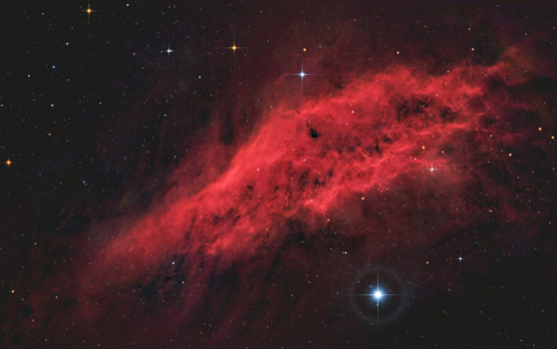 California_StarXT_Forums2