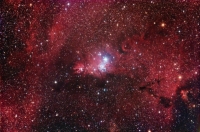 Cone Nebula