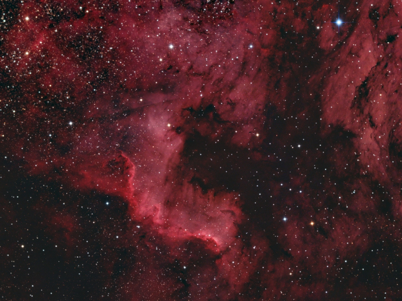 Cygnus_Wall_SX_Forums