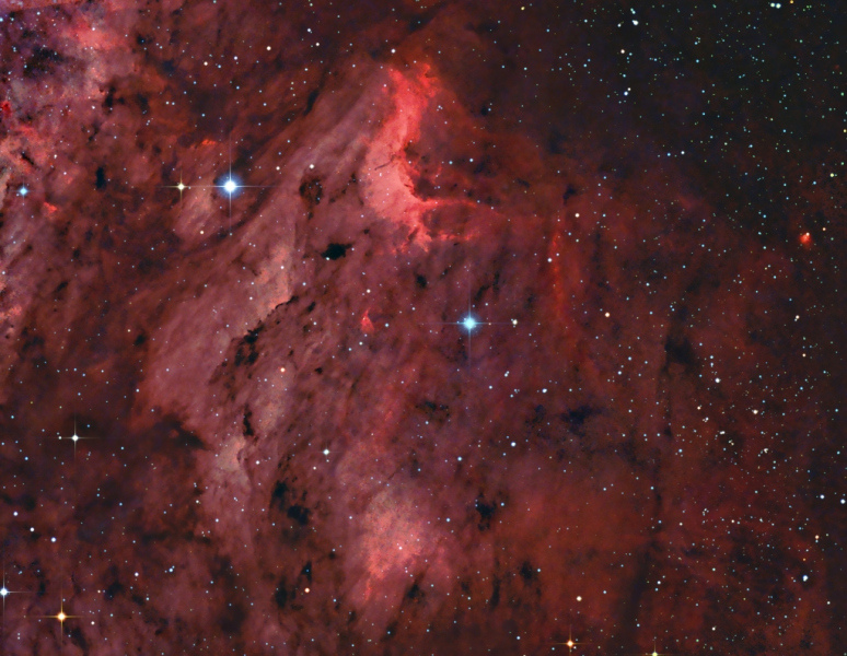 Definitive_New_Pelican_Forums