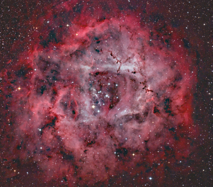 Rosette3_Forums