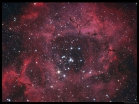Rosette Nebula