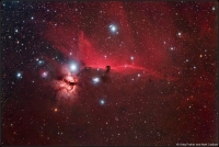 Widefield Horsehead Nebula