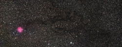 cocoon_alldata