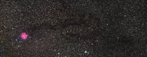 cocoon_alldata
