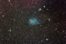 IC2169 full version