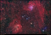 The Flaming Star Nebula And Companion