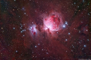 m42_nfo_latest_portrait.jpg