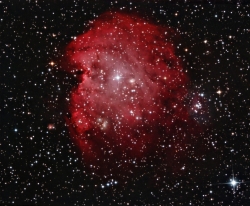 Monkey Head final twiddles