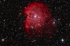 Monkey Head nebula