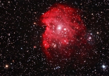 Monkey Head Nebula