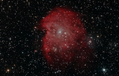 Monkey Head nebula