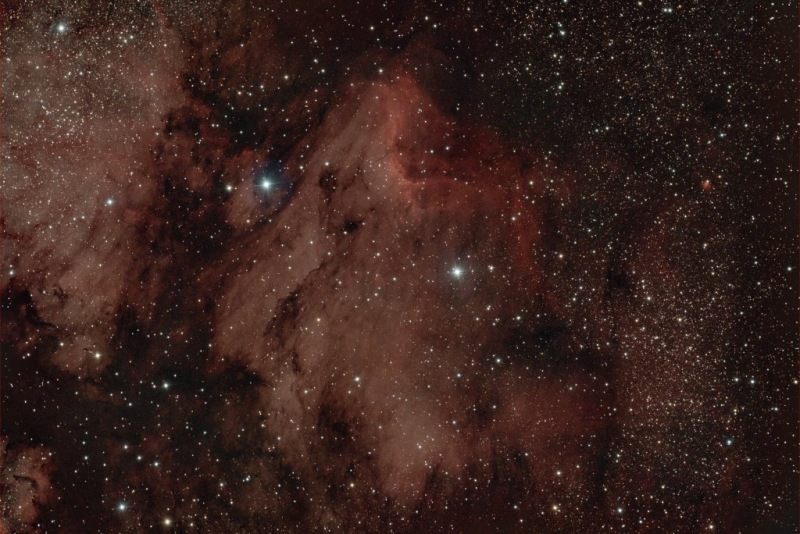 pelican-001lite_RGB_Noel_process_Forums