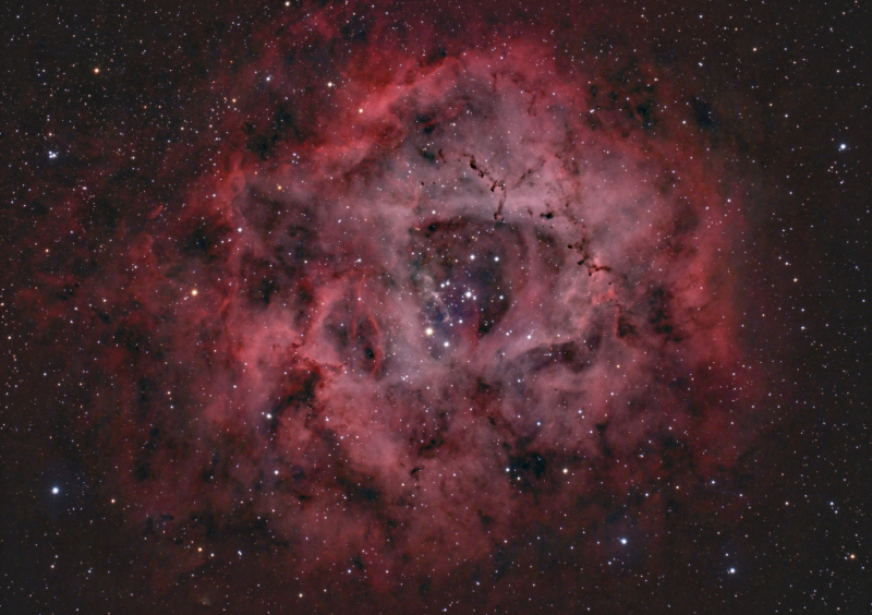 rosette_HS4_39subs_4mins_2datasets_Forums