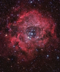 Rosette composite definitive