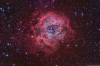 rosette_m25c_2_small.jpg