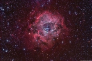 rosette_oiii_small.jpg