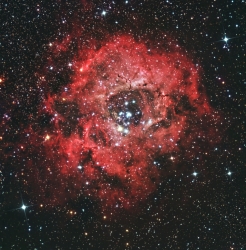 Rosette reprocess