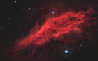 California_StarXT_Forums2