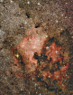 Composite_NAN_Pelican_200mm_14.42hours_Forums