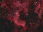 Cygnus_Wall_SX_Forums