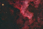 Definitive_Cygnus_Wall_Forums