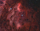 Definitive_New_Pelican_Forums
