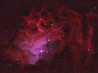 Flaming_star_Forums2