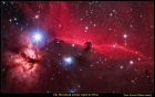 Horsehead screensaver