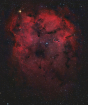 IC1396_Greg_Noel_SX_Flat202020_Forums