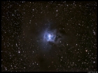 Iris Nebula