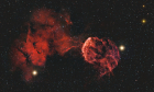 Jellyfish_SX_Forums