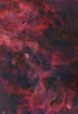 Latest_Crescent