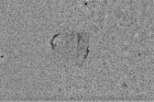Veil_200mm5DMkII_4subs_NFO