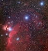 belt_horsehead_nfo.jpg