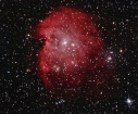 Monkey Head nebula composite image