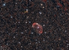 Crescent nebula and Carbon star SAO 69636