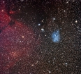 Trumpler 5 and IC2169