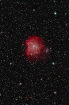 Monkey Head nebula (North down) HSIII