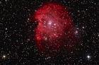 Monkey Head nebula