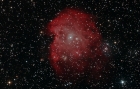 Monkey Head nebula
